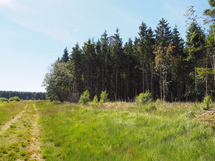 Signal de Botrange (België)